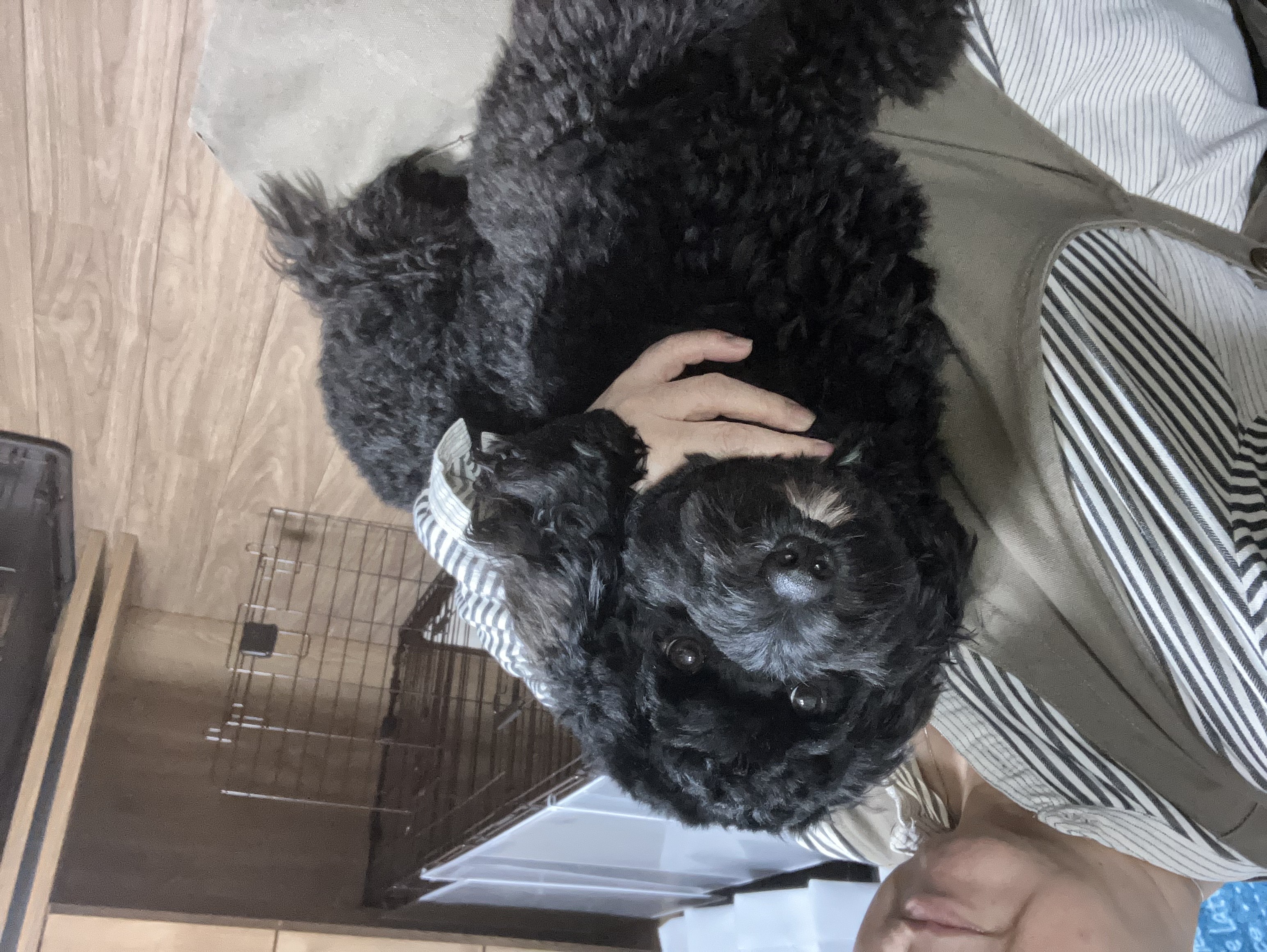 杏麗（anri）の写真